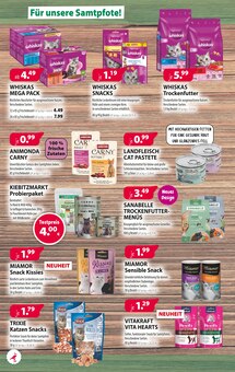 Aktueller Kiebitzmarkt Prospekt