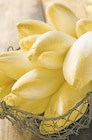 Intermarché Gaujac - Promo Endive Promo Endive à 1,89 € dans le catalogue Intermarché à Gaujac