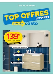Catalogue Castorama "TOP OFFRES DE FÉVRIER" à Mondeville et alentours, 1 page, 04/02/2026 - 24/02/2026
