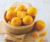 Clémentine en promo chez Super U Clémentine dans le catalogue Super U