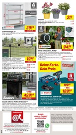 Stauden im toom Baumarkt Prospekt in Unna Aktueller toom Baumarkt Prospekt mit Stauden, "Respekt, wer's selber macht.", Seite 24