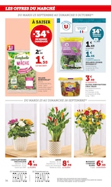Chrysanthèmes Angebote im Prospekt "Super U" von Super U auf Seite 36