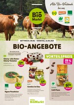 Denns BioMarkt Prospekt für Berlin mit 12 Seiten Denns BioMarkt Prospekt für Berlin: "BIO-ANGEBOTE", 12 Seiten, 09.06.2021 - 22.06.2021
