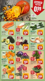Pflanzen im REWE Prospekt in Rheda-Wiedenbrück Aktueller REWE Prospekt mit Pflanzen, "Dein Markt", Seite 9