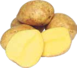Kartoffeln im V-Markt Prospekt Bio Speisefrühkartoffeln im aktuellen V-Markt Prospekt für 1,99 €