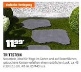 Trittstein im Angebot bei OBI in Gelsenkirchen Trittstein Angebote bei OBI Gelsenkirchen für 11,99 €