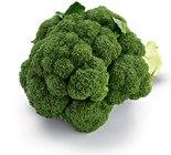 Broccoli im Angebot bei Netto Marken-Discount in Bremerhaven Broccoli Angebote von HEIMAT bei Netto Marken-Discount Bremerhaven für 1,29 €