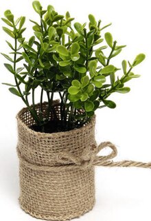 Feuillage 16 cm en pot de toile de jute - Géant Casino à Angers Feuillage 16 cm en pot de toile de jute en promo chez Géant Casino Angers à 1,90 €