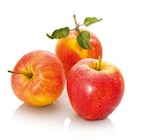 Aktuelles Apfel 'Alkmene' Angebot bei Hellweg in Essen ab 34,99 €