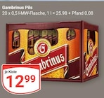 Gambrinus Pils bei GLOBUS im Crimmitschau Prospekt für 12,99 €