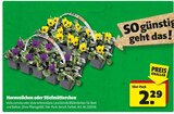 Hagebaumarkt Erding Prospekt mit  im Angebot für 2,29 €