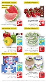 Kräuter im EDEKA Prospekt in Heidelberg Aktueller EDEKA Prospekt mit Kräuter, "Aktuelle Angebote", Seite 15