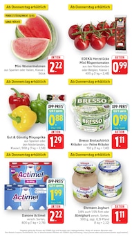 Tomaten im EDEKA Prospekt "Aktuelle Angebote" mit 15 Seiten (Heidelberg)