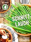Schnittlauch Saatscheiben von Topfkultur im aktuellen Thomas Philipps Prospekt