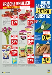 Aktueller EDEKA Prospekt mit Tulpen, "Aktuelle Angebote", Seite 32