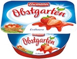 Obstgarten von Ehrmann im aktuellen Netto mit dem Scottie Prospekt