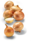 Aktuelles Zwiebeln Angebot bei Netto Marken-Discount in Oldenburg ab 1,49 €