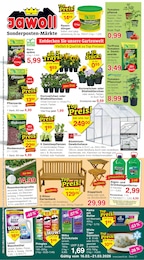 Steine Angebot im aktuellen Jawoll Prospekt auf Seite 1