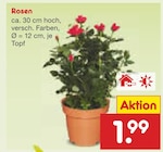 Rosen im Netto Marken-Discount Prospekt Rosen von im aktuellen Netto Marken-Discount Prospekt für 1,99 €