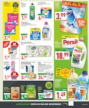 Aktueller Marktkauf Prospekt mit Hundefutter, "Aktuelle Angebote", Seite 17