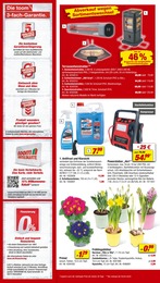 Netto MarkenDiscount Samstagskracher Jeden Samstag andere Angebote