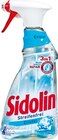 Glasreiniger von Sidolin im aktuellen Netto Marken-Discount Prospekt für 1,99 €