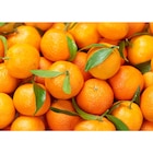 Clémentine feuille à Carrefour Market dans Nogent-sur-Marne Clémentine feuille à Carrefour Market dans Nogent-sur-Marne