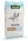 Gamm vert Saint-Marcellin - Promo "Pigeon Super" Belcanto Promo "Pigeon Super" Belcanto à 17,99 € dans le catalogue Gamm vert à Saint-Marcellin