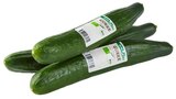 Bio Salatgurke im Angebot bei REWE in Freital Bio Salatgurke Angebote von REWE Bio bei REWE Freital für 1,11 €