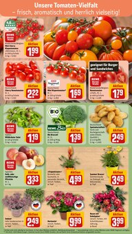 Pflanzen im aktuellen REWE Prospekt (Bremen) Pflanzen im REWE Prospekt "Dein Markt" mit 26 Seiten (Bremen)