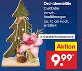 OrchideenblĂŒte Cymbidie im Netto Marken-Discount Prospekt OrchideenblĂŒte Cymbidie von im aktuellen Netto Marken-Discount Prospekt fĂŒr 9,99 âŹ
