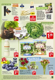 Tulpen im aktuellen E center Prospekt (Heilbronn) Tulpen im E center Prospekt "Aktuelle Angebote" mit 58 Seiten (Heilbronn)