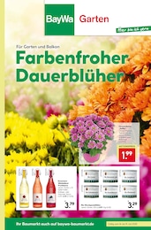 BayWa Bau- und Gartenmärkte Prospekt für Weil der Stadt mit 8} Seiten BayWa Bau- und Gartenmärkte Prospekt für Weil der Stadt: "Hier bin ich gern", 8 Seiten, 14.07.2025 - 19.07.2025