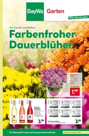 Aktueller BayWa Bau- und Gartenmärkte Baumarkt Prospekt in Berglen und Umgebung, "Hier bin ich gern" mit 8 Seiten, 14.07.2025 - 19.07.2025