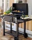Kohlegrill Pampas XL im aktuellen Prospekt bei Rusta in Neuwühren
