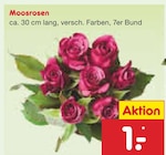 Netto Marken-Discount - Moosrosen Angebot im Prospekt Moosrosen bei Netto Marken-Discount im Prospekt "" für 1,00 €