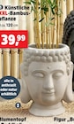 Aktuelles Blumentopf „Buddha“ Angebot bei Thomas Philipps in Ulm ab 6,99 €