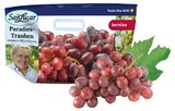 Rote Tafeltrauben kernlos Angebote von San Lucar bei REWE Herne für 2,99 €