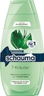 Shampoo von Schauma im aktuellen Netto mit dem Scottie Prospekt