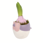 Arrangement 'Frühlingsvogel' von  im aktuellen toom Baumarkt Prospekt für 8,99 €