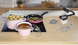 Flachbratpfanne im Angebot bei Netto Marken-Discount in Kaiserslautern Flachbratpfanne Angebote von alpina bei Netto Marken-Discount Kaiserslautern für 4,99 €