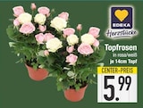 Topfrosen im EDEKA Prospekt Topfrosen von EDEKA HerzstĂŒcke im aktuellen EDEKA Prospekt fĂŒr 5,99 âŹ