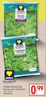Herzstücke Rucola von EDEKA im aktuellen EDEKA Prospekt