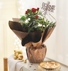 Rosier pot 14 cm dans le catalogue Intermarché Hyper