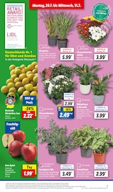 Aktueller Lidl Prospekt mit Gartenpflanzen, "LIDL LOHNT SICH", Seite 3