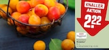 Angebot im REWE Oberasbach Prospekt REWE Oberasbach Prospekt mit im Angebot für 2,22 €