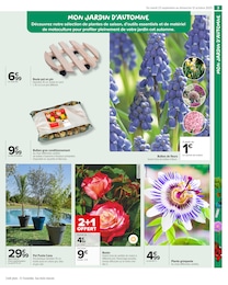 Offre Canisse dans le catalogue Carrefour Market du moment à la page 5