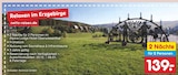 Aktuelle Alpina Angebote bei Netto Marken-Discount in Chemnitz Aktuelles Relaxen im Erzgebirge - Alpina Lodge Hotel Oberwiesenthal Angebot bei Netto Marken-Discount in Chemnitz ab 139,00 €