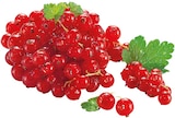 Rote Johannisbeeren für 2,99 € bei REWE im Angebot Rote Johannisbeeren im aktuellen REWE Prospekt
