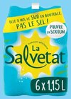 EAU MINÉRALE NATURELLE GAZEUSE - SALVETAT en promo chez Intermarché Metz à 1,53 €